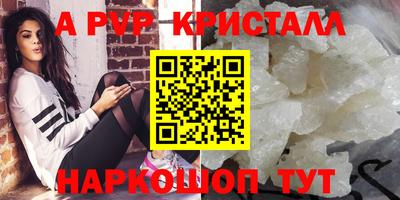 шишки Новодвинск