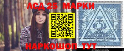 шишки Новодвинск