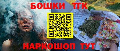 шишки Новодвинск