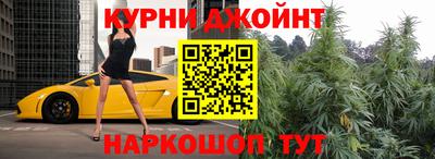 шишки Новодвинск