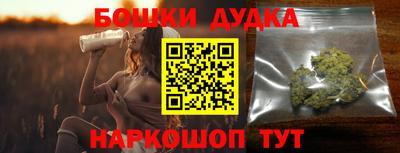 шишки Новодвинск