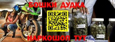 шишки Новодвинск
