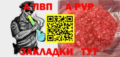 шишки Новодвинск