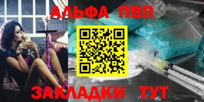 шишки Новодвинск