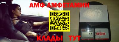 шишки Новодвинск