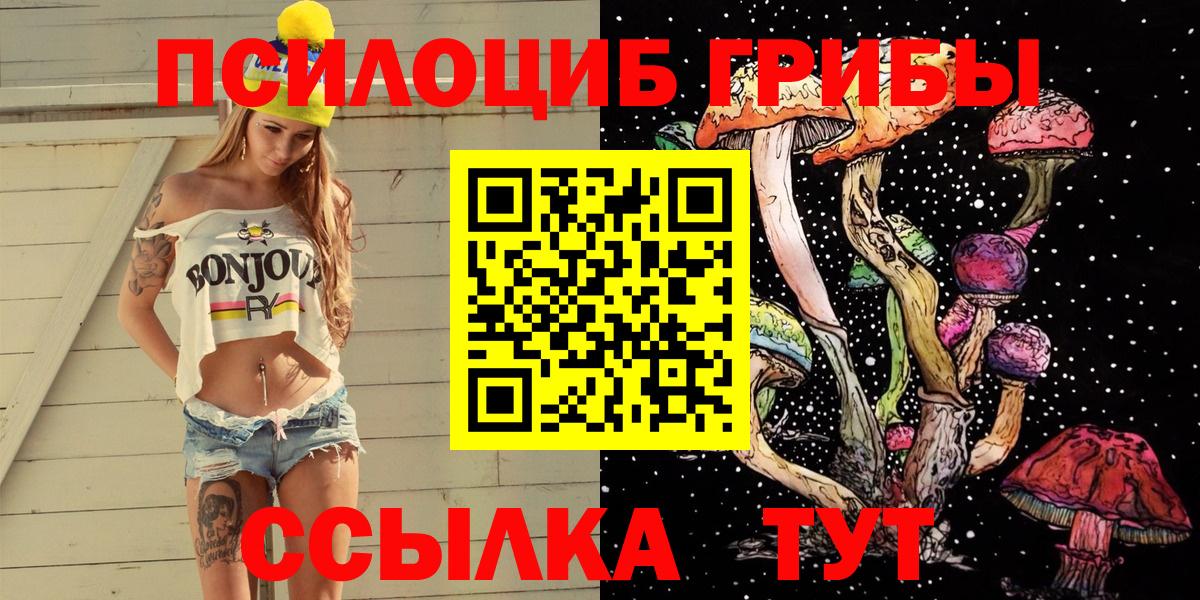 Псилоцибиновые грибы прущие грибы  Вход с VPN  Псилоцибиновые грибы MAGIC MUSHROOMS  Советская Гавань 