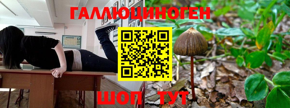 ГАШ Советская Гавань